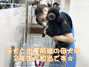 １年生が成犬、２年生が子犬をお世話♪